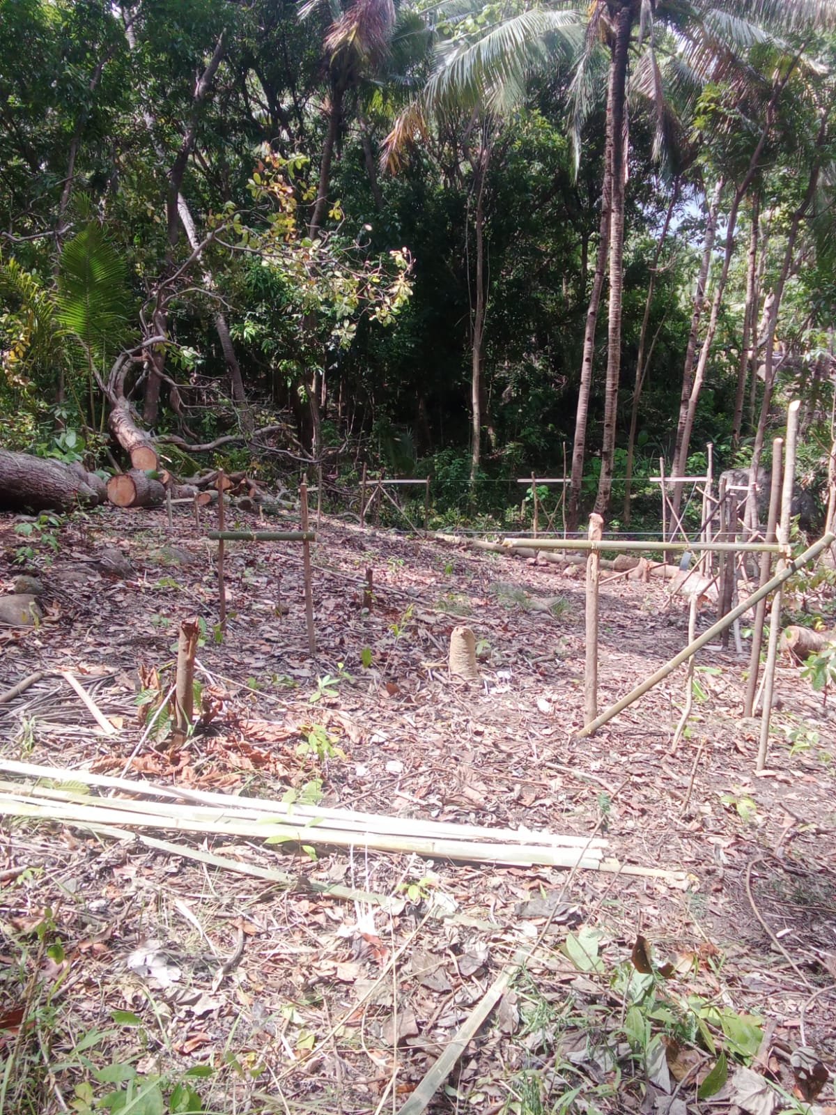 LOKASI PEMBANGUNAN KANDANG AYAM KUB